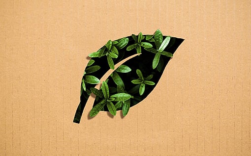 Cardboard with a hole shaped like a leaf and green leaves coming out of it
