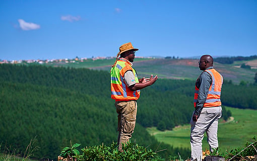 Two Mondi colleagues overlooking a forest.