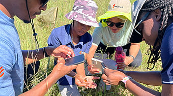 Mondi people using the iNaturalist app to digitally record and identify all types of trees, plants and animals