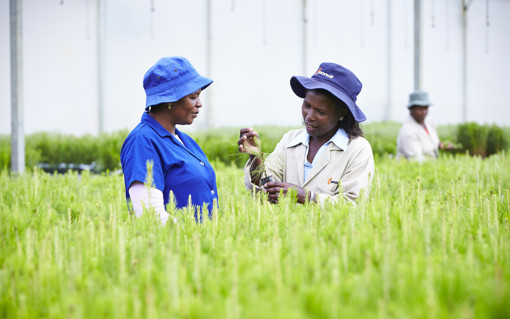 Sustainability at Mondi