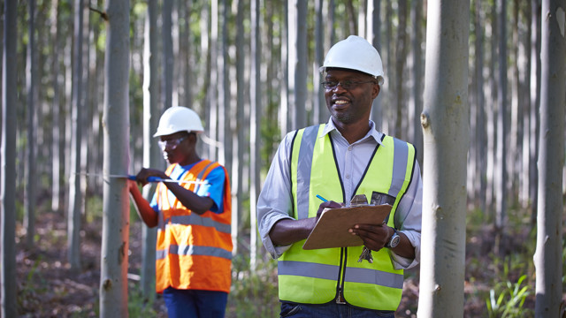 Forestry