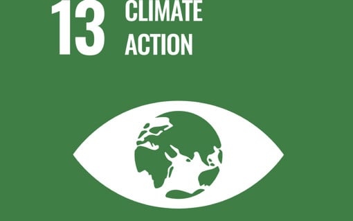 sdg 13