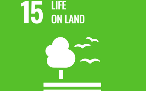 sdg 15