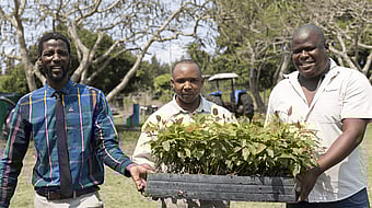 Mondi Zimele representatives
