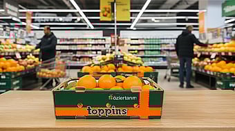 A corrugated tray filled with oranges in a supermarket branded Özler Tarim.