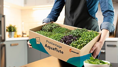 Mondi Packaging Paper Sales Scandinavia & Baltics