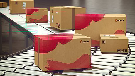 Brown corrugated boxes are on a conveyor belt.