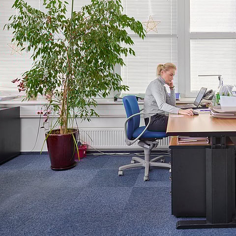 Büro vertrieb