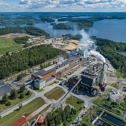 Mondi Dynäs plant