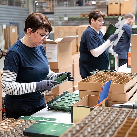 Workers are packaging items into paper-based boxes.