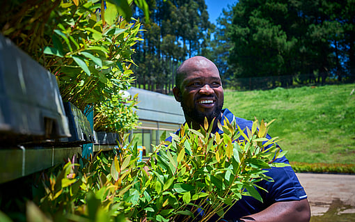 Male worker in the forestry