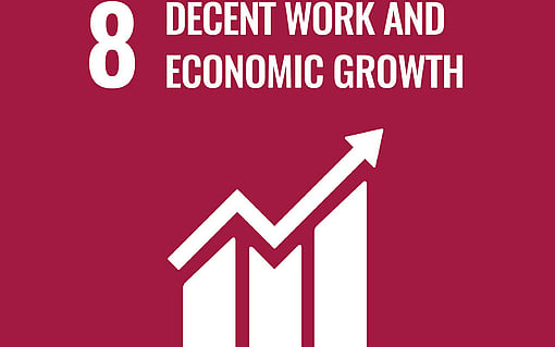 sdg 8