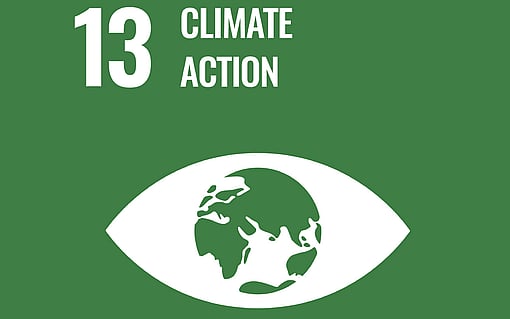 sdg 13