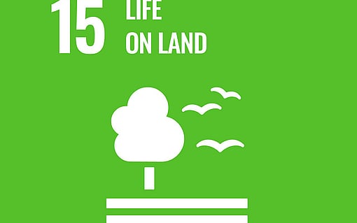 sdg 15