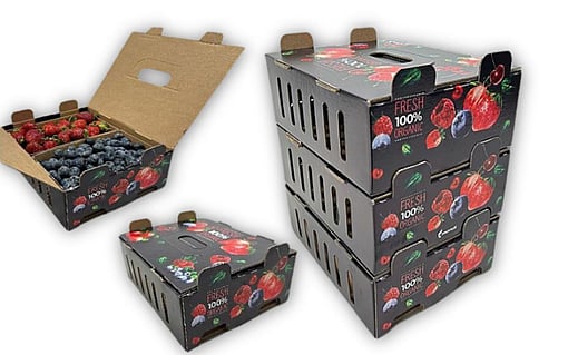 A collection of shelf-ready packaging.