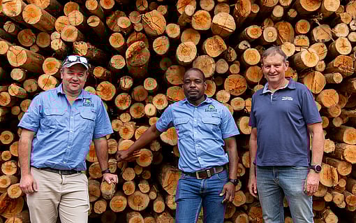 Three people wearing blue shirts stand in front of a large stack of freshly cut logs at a timber yard, posing for a group photo.