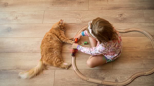 Girl and cat on lamiante floor