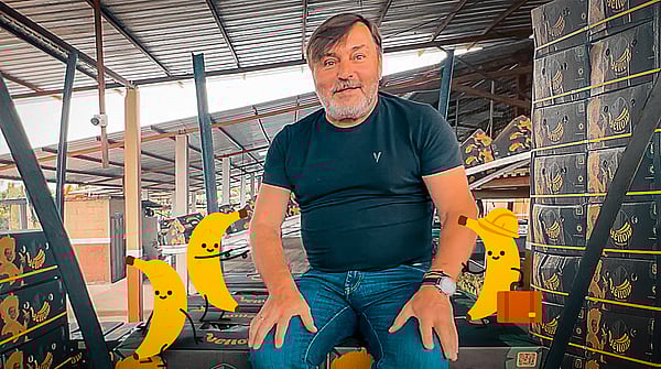 Marek Motylewski from Mondi, surrounded by corrugated boxes filled with bananas.