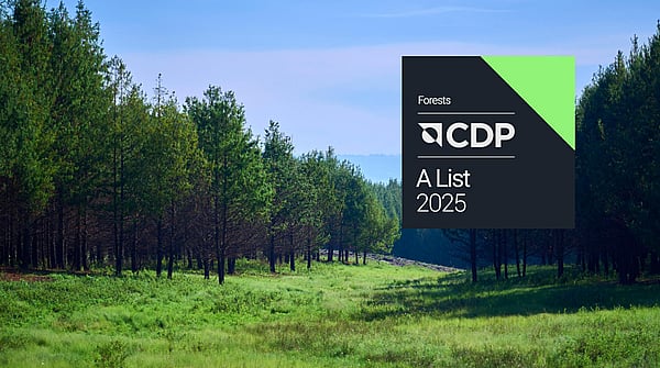 Image of a forest with trees and fields set against a blue sky with a CDP logo in the top right