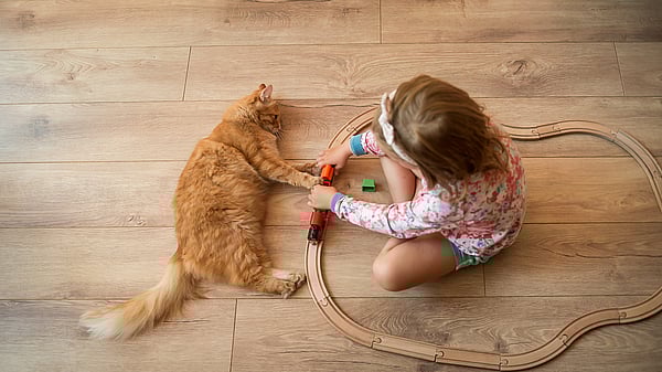 Girl and cat on lamiante floor