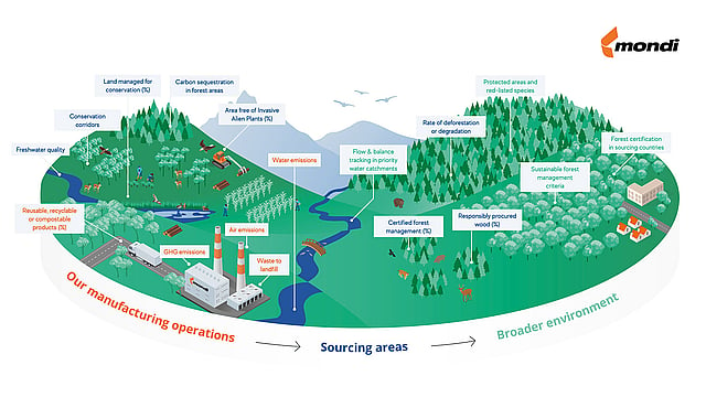 Mondi landscape-level approach