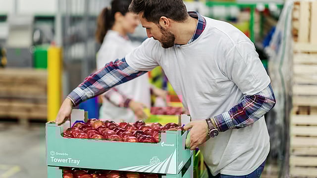 A man picking up a corrugated tray with fresh fruit.