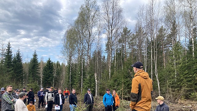 How we train our contractors to safeguard biodiversity in Finnish forests