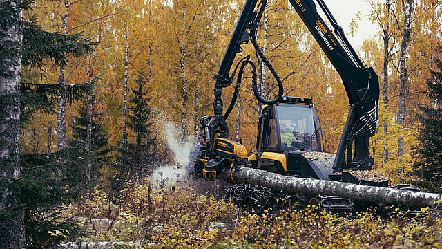 How we train our contractors to safeguard biodiversity in Finnish forests