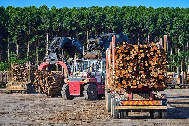 Mondi truck with wood trunks