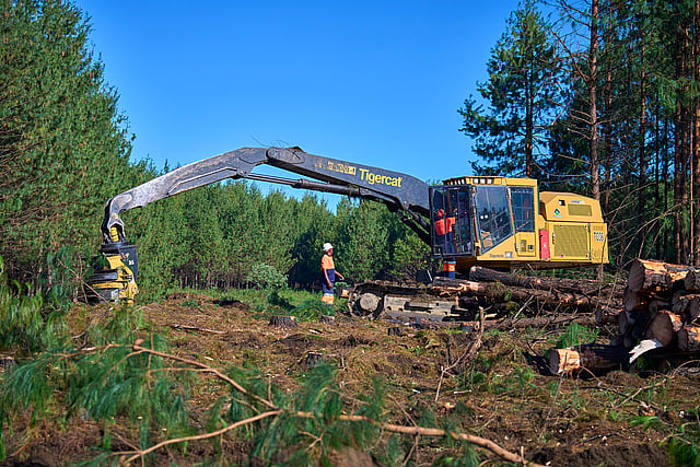 Mondi forest with machine