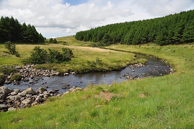 Mondi river and forest landscape