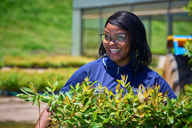 A Mondi worker wearing a blue shirt tends to green plants outdoors, with a grassy area and a building structure in the background.