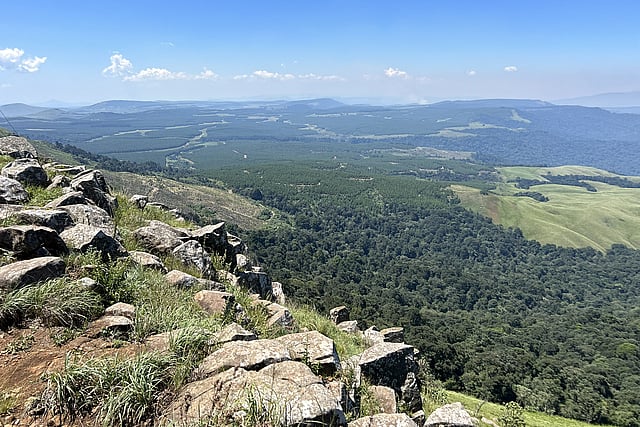 Mondi river and forest landscape