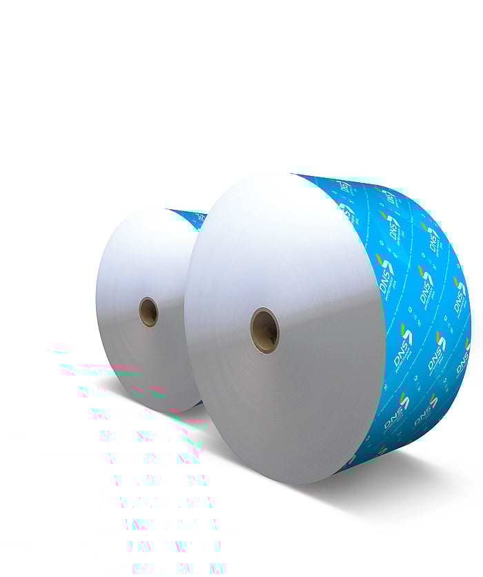 DNS performance plus reel
