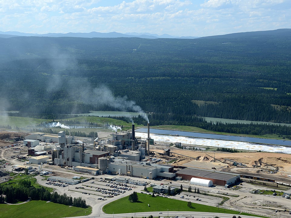 Hinton Pulp mill acquisition supports growth in Mondi’s Americas paper bags business