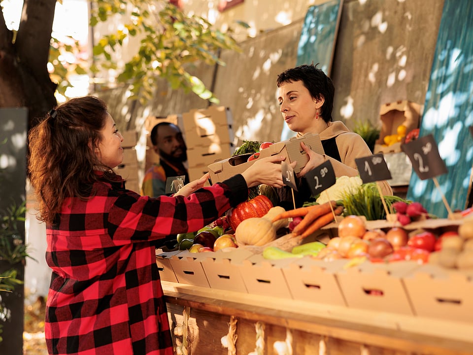 Women standing in front of selected fruit in corrugated boxes, buying fruit.