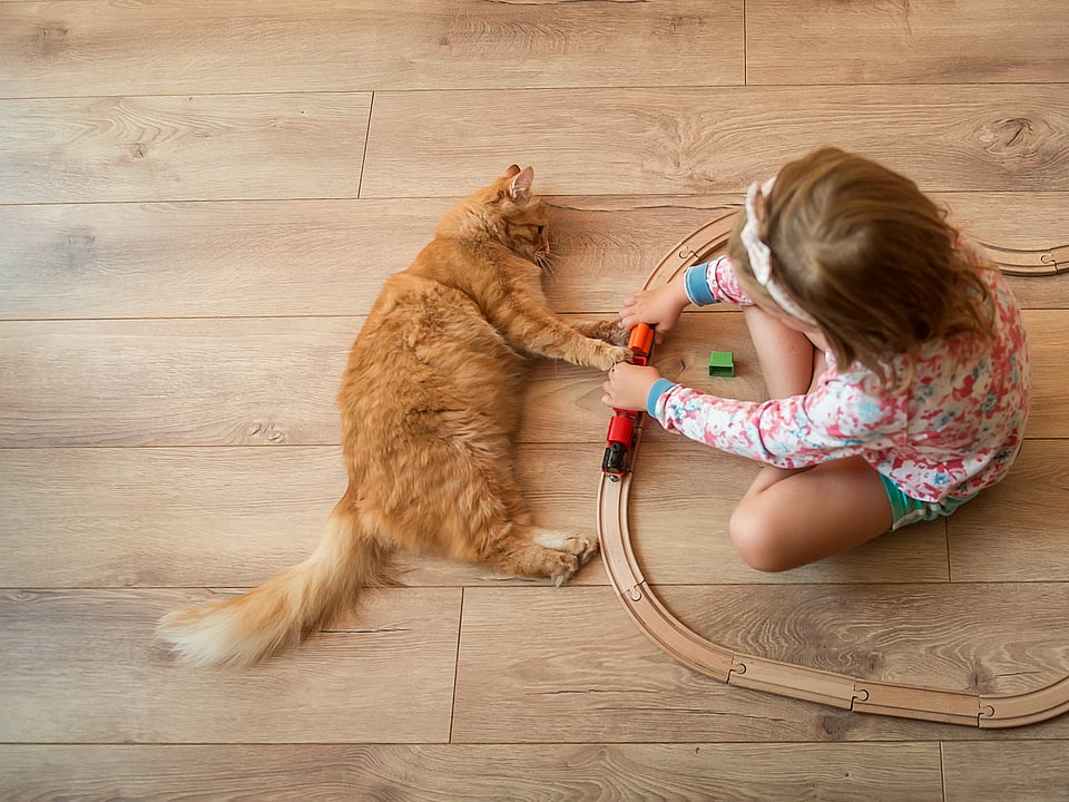 Girl and cat on lamiante floor