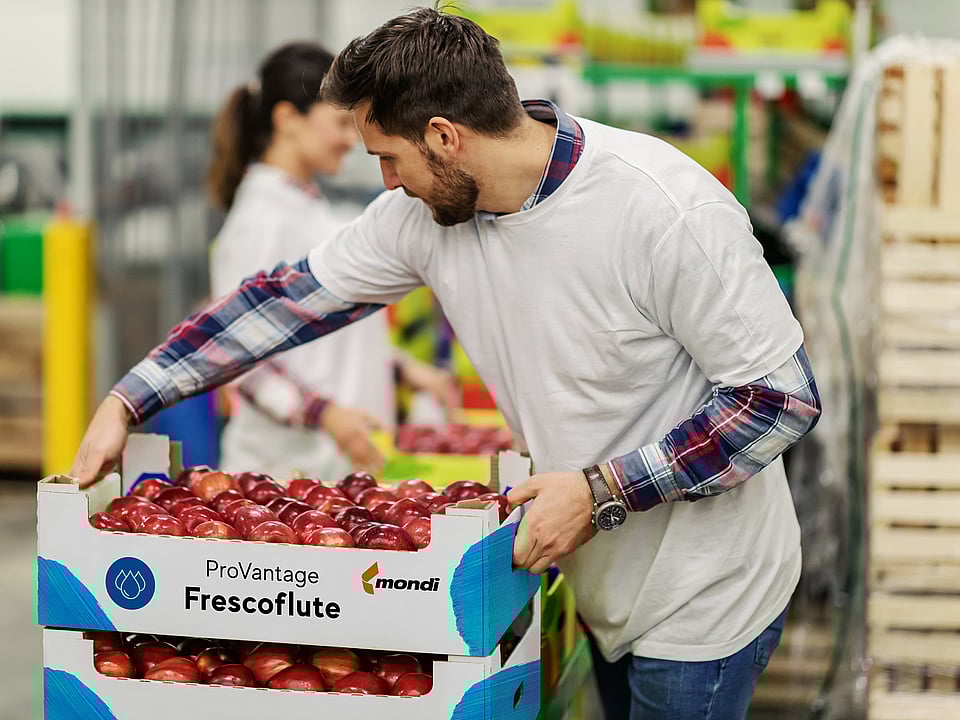 A man stacking a corrugated tray filled with apples labelled ProVantage Frescoflute.