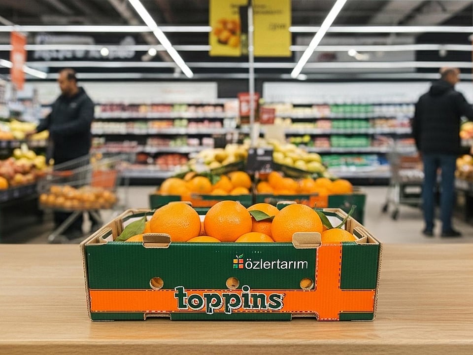A corrugated tray filled with oranges in a supermarket branded Özler Tarim.