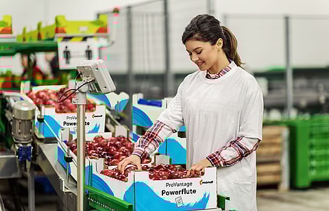 A woman packaging fresh fruit into boxes made from Mondi's containerboard.