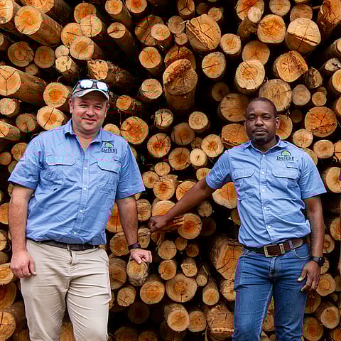 Mondi workers standing in front of wood