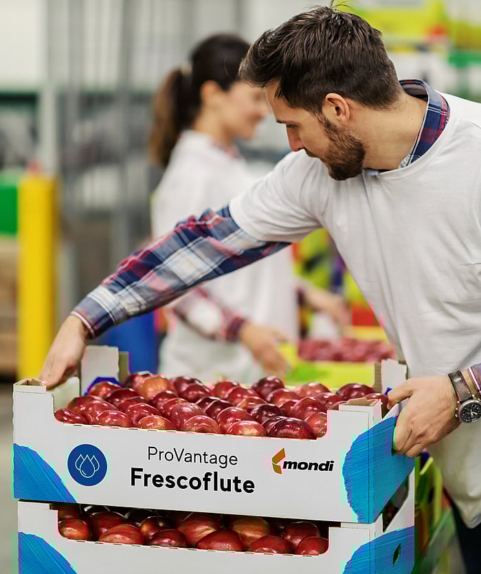 A man stacking a corrugated tray filled with apples labelled ProVantage Frescoflute.
