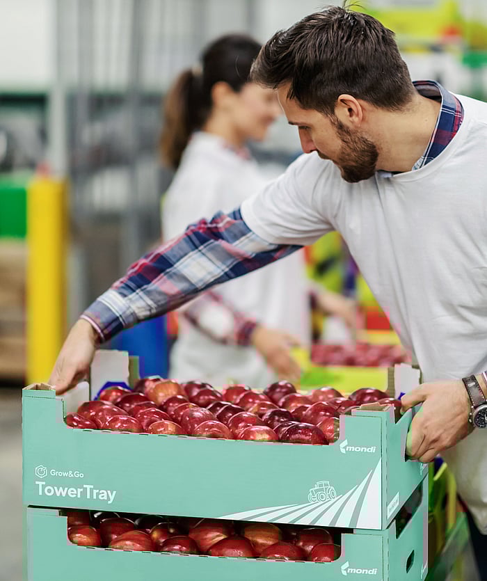 A man is stacking corrugated trays filled with fresh fruits.