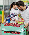 A man is stacking corrugated trays filled with fresh fruits.