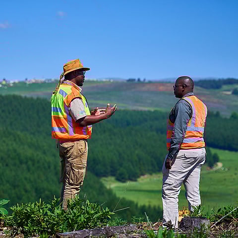 workers on a field
