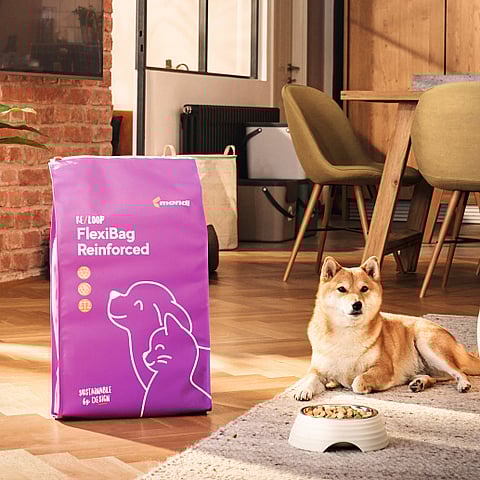 Mondi sustainable food packaging laying next to a dog