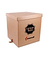 A packshot of a TankerBox by Mondi, a brown corrugated box.