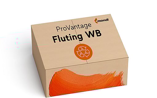 A brown corrugated box labelled ProVantage Fluting WB.