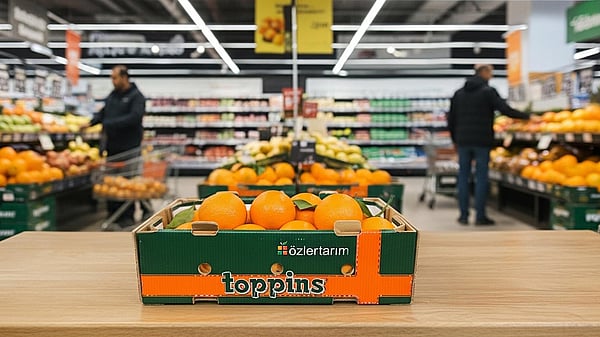 A corrugated tray filled with oranges in a supermarket branded Özler Tarim.
