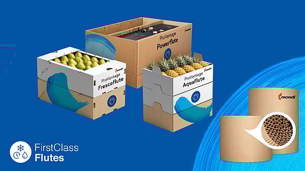 cardboard boxes displayed on a blue background
